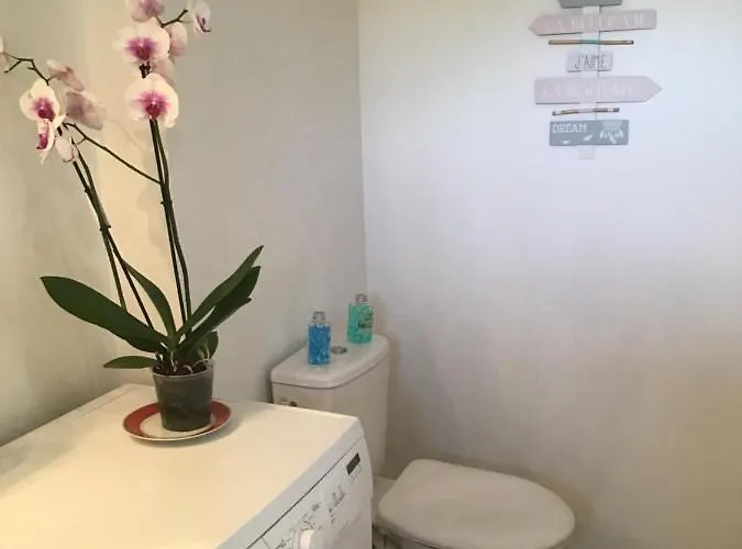 公寓 Appt T2 Standing Avec Piscine Et Terrasse