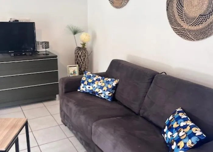 Appt T2 Standing Avec Piscine Et Terrasse * 维琪奥港