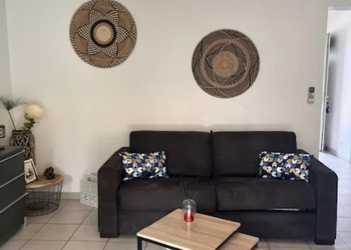 公寓 Appt T2 Standing Avec Piscine Et Terrasse 维琪奥港