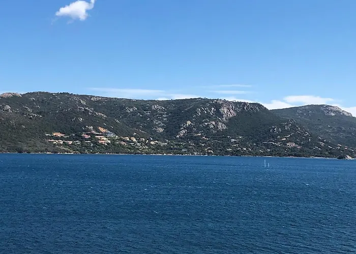 Appt T2 Standing Avec Piscine Et Terrasse 维琪奥港