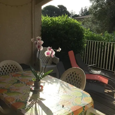 Appt T2 Standing Avec Piscine Et Terrasse * Porto Vecchio