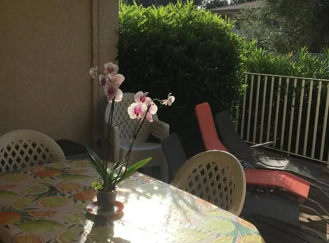 Appt T2 Standing Avec Piscine Et Terrasse * ポルトヴェッキオ