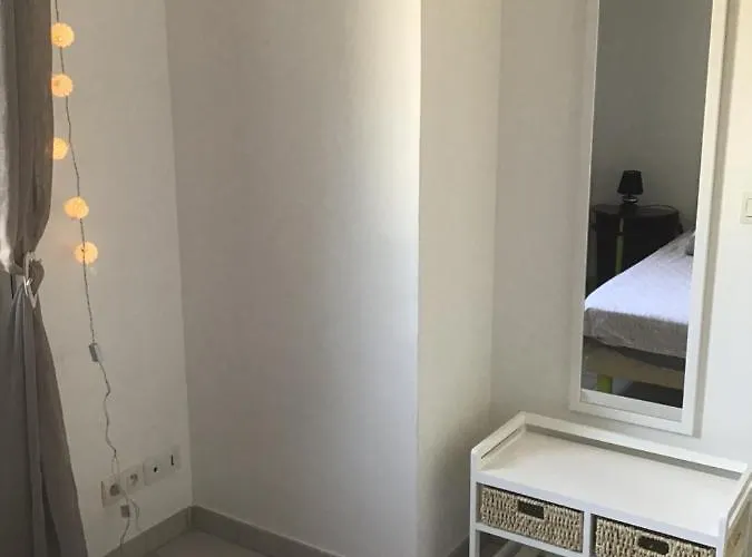 Appt T2 Standing Avec Piscine Et Terrasse * ポルトヴェッキオ