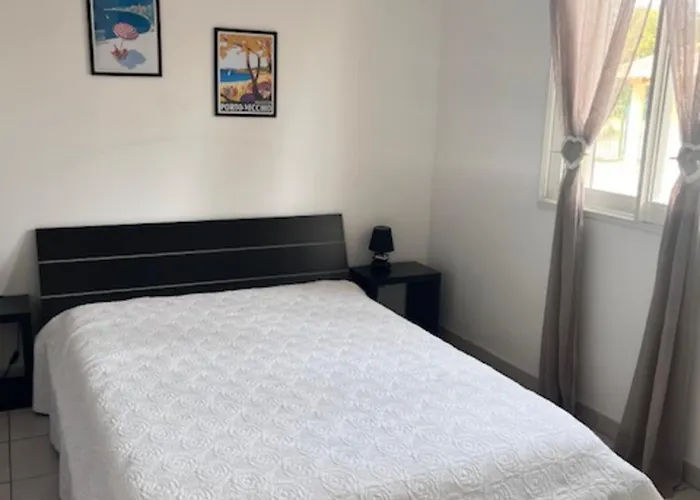 Appt T2 Standing Avec Piscine Et Terrasse ポルトヴェッキオ